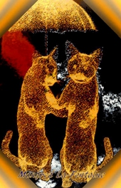 zwei Katzen im Regen, Manfred La-Fontaine,