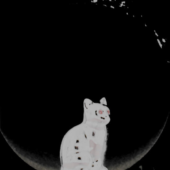 chat blanc boule noir, Exposition peinture, manfred la-fontaine,